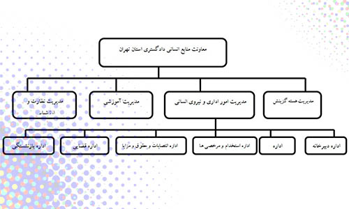 در سال 1402، تغییراتی در ساختار قضایی ایران ایجاد شدند که به منظور بهبود عملکرد دستگاه قضائی و ارتقاء کیفیت اجرای دادرسی هدفمند و دقیق متعهد شدند.
